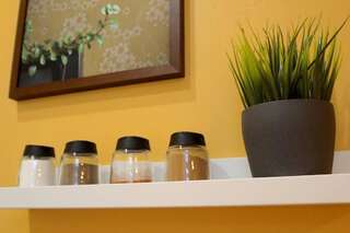 Апартаменты LUX Art Nouveau Apartment in Historical Center Рига Апартаменты с 1 спальней-46